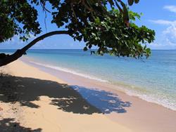 Manado - Siladen Island Spa Resort Dive Centre.